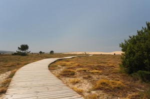 Holzweg durch die Dünen bei Olveira