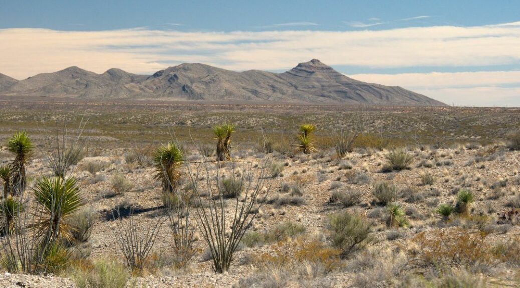 Wüste bei Las Cruces