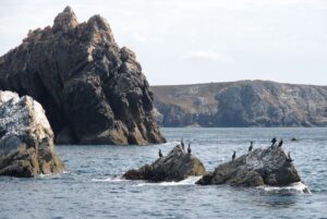 An diesen Felsen ist deutlich die Strömung entlang der Küste zu sehen