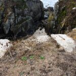 Deshalb wurden die Felsen so behauen, dass dort hözerne Ausleger mit Rollen für einen Kran eingesetzt werden konnten, so dass ein Pferd oben auf der Kante die schwere Last nach oben ziehen konnte.