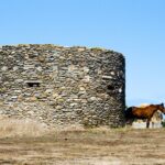 Ein Pferd sucht den Windschatten