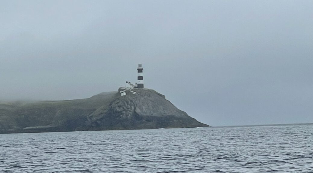 Einlaufen nach Kinsale