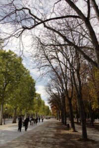 Die Kastanien auf den Champs Elysées sind schon sehr braun.